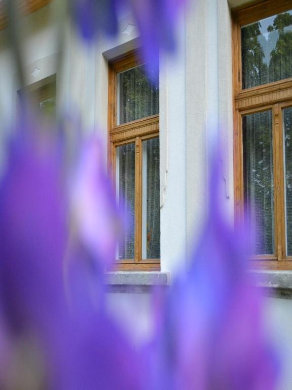 Turjan Vendeghaz Hotel Erdőbénye Екстериор снимка