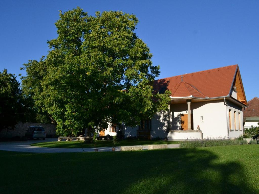 Turjan Vendeghaz Hotel Erdőbénye Екстериор снимка