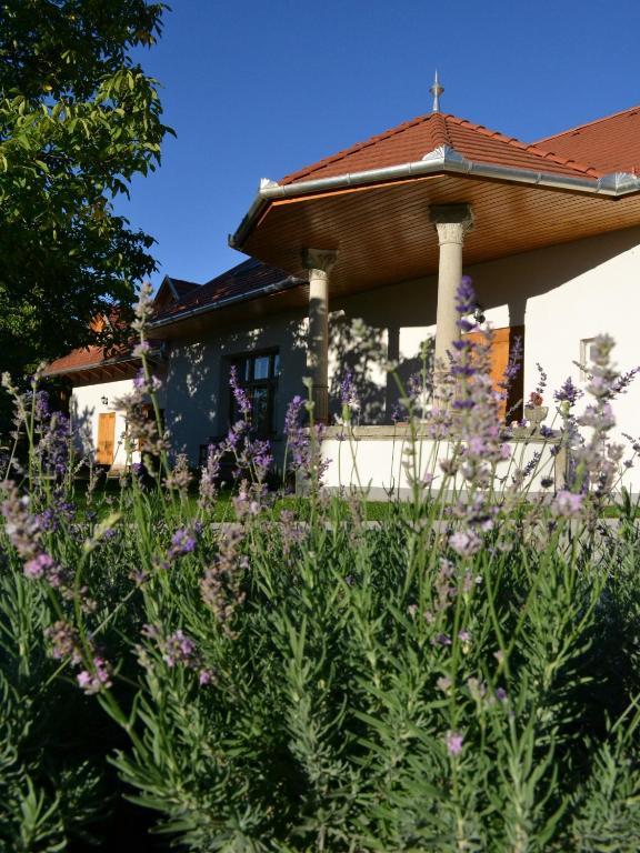 Turjan Vendeghaz Hotel Erdőbénye Екстериор снимка
