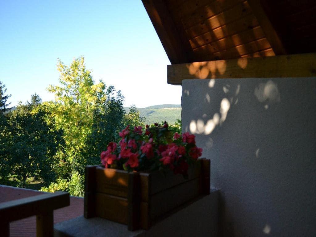 Turjan Vendeghaz Hotel Erdőbénye Екстериор снимка