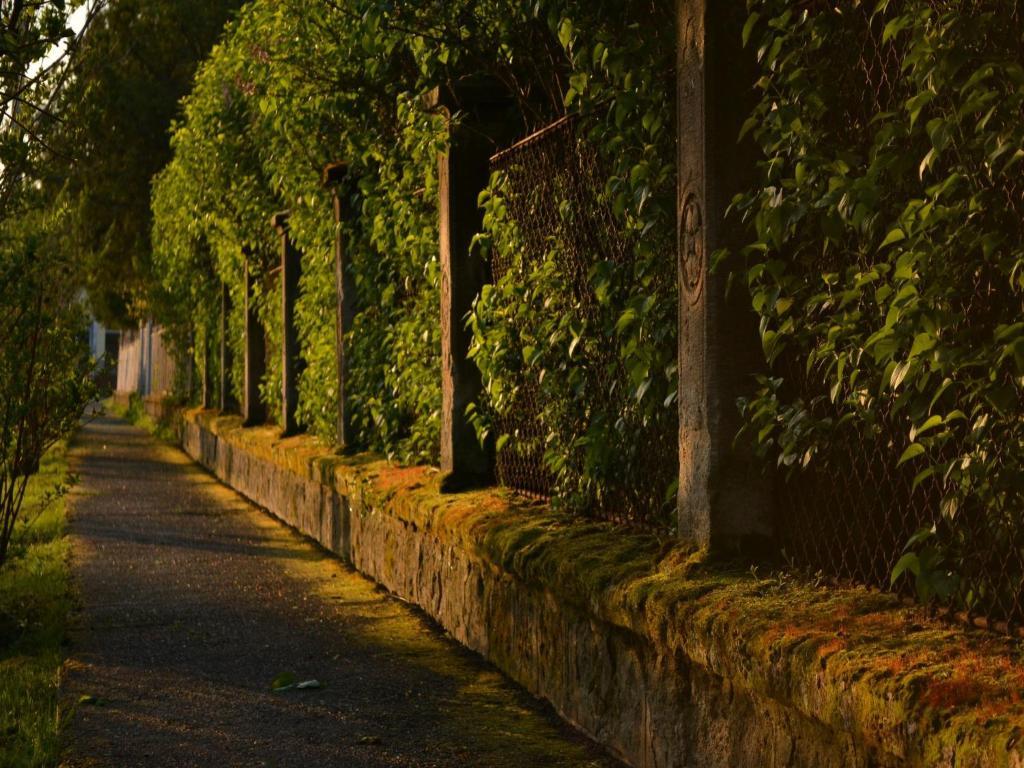 Turjan Vendeghaz Hotel Erdőbénye Екстериор снимка